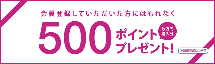 会員登録していただいた方にはもれなく500ポイント（5万円購入分）プレゼント！　≫新規登録はコチラ