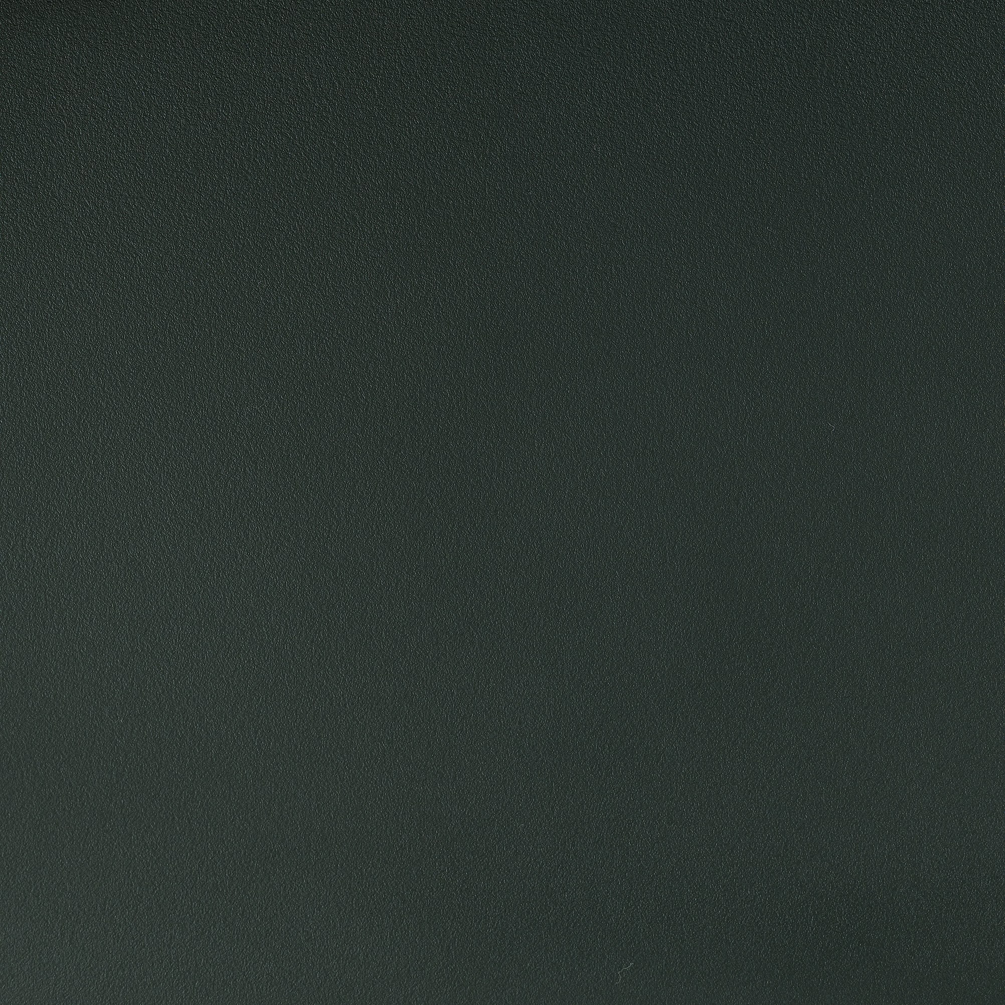 本体