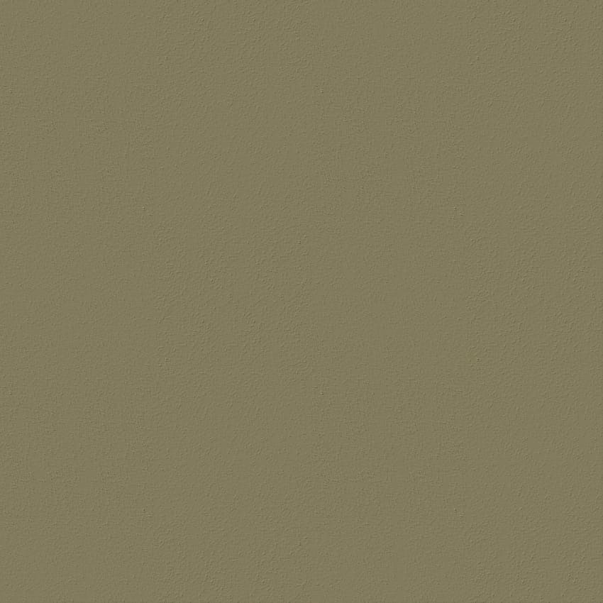 【6脚セット】Plank　Remo （レモ）　スタッキングチェア REMO wood | Plank