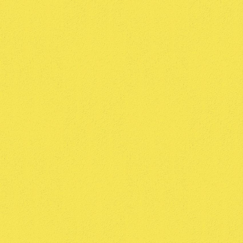 Remo｜12脚OK！屋外も使えるスタッキングチェア｜Plank(プランク